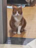 阿飞和巴弟猫粮E76益生菌全价冻干双拼猫粮成猫幼猫粮2kg*5袋装10kg 实拍图