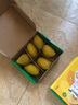 佳沛（zespri）新西兰  阳光金奇异果6粒装 单果约77-103g  源头直发  猕猴桃 实拍图