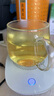 忆壶茶 玻璃茶杯泡茶水分离杯 绿红茶泡花茶杯子带过滤竹木盖玻璃水杯 玻璃盖泡茶杯400ml 实拍图