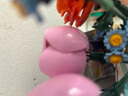 乐高（LEGO）积木拼装31156 热带风尤克里里儿童女孩女生玩具生日礼物 实拍图