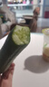 京喜加新鲜无刺水果小黄瓜小青瓜脆甜荷兰脆嫩生吃黄瓜蔬菜 水果黄瓜 2斤 带箱活动 实拍图