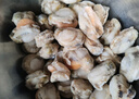 初鲜大号冷冻带黄扇贝肉2斤约80-120颗烧烤火锅食材海鲜水产端午聚餐 实拍图