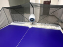 庞伯特（pongbot）omni 乒乓球发球机 家用台式智能专业自动乒乓球训练器发球器 omni增强版(遥控+集球网+250球) 实拍图
