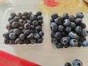 鲜级佳辽宁丹东蓝莓王【多地次日达】新鲜孕妇L25花香蓝莓礼盒怡颗蓝莓 12盒【100g/盒】畅吃分享-家庭款 脆甜可口 品质中果【单果12-14mm+】 实拍图