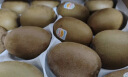 佳沛（zespri）新西兰 金果12粒猕猴桃礼盒特大果单果约122-146g 端午节水果礼盒 实拍图