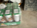 燕京啤酒 纯生10度500ml*12听 巅峰开抢 现货热卖  整箱装 实拍图
