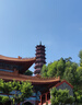 京东京造【重磅小白T】短袖男士t恤多色圆领纯棉夏季情侣T 极致灰 M 实拍图