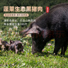 龙大肉食 黑猪软骨肋排净重2斤 猪脆骨软排 糖醋排骨红烧食材 黑猪肉生鲜 实拍图