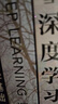 深度学习经典教程：深度学习+动手学深度学习（套装共2册）(异步图书出品) deepseek教程 实拍图