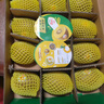佳沛（zespri）新西兰 阳光金奇异果12粒礼盒特大果单果约122-146g 猕猴桃 水果 实拍图