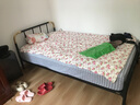 天坛家具铁艺床经典单双人钢木铁床现代环保简约小户型黑白色铁艺婚床 铁艺床（黑色）（不含床垫） 1.2*2.0m 实拍图