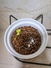 阿飞和巴弟猫粮E76益生菌全价冻干双拼猫粮成猫幼猫粮全阶段鸡肉三文鱼 2kg 实拍图