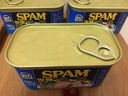 世棒（SPAM）经典原味鸡肉午餐肉40g 儿童早餐泡面零食火腿肠独立包装户外露营 实拍图