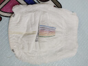 bebebus 金标茶树精华成长裤3XL20片(≥17kg)透气超薄拉拉学步裤男女宝 实拍图