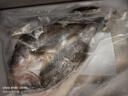 鲜活人生白蕉开背海鲈鱼无水净重500g*2条七星海鲈鱼生鲜深海鱼 实拍图