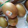 佳沛（zespri）新西兰  阳光金奇异果18粒超大果原箱单果重约173-204g 猕猴桃 实拍图