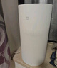 米家小米空气加湿器 无雾加湿器3-800 轻音家用卧室办公室6L大容量 800ml/h快速加湿 CJSJSQ04ZMZ 实拍图