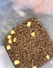 麦富迪猫粮 超肉粒冻干双拼粮2kg 成猫（冻干三文鱼） 实拍图