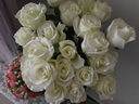 云南鲜花批发品质玫瑰百合水养鲜切花送女友生日礼物源头直发 白玫瑰-10支【轻微折痕属于正常现象】 【任选2件—不收运費】 实拍图