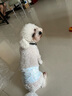 力狼狗粮 全价成犬粮 博美泰迪金毛阿拉斯加边牧大中小犬型粮 【肉粒双拼】通用型犬粮1.5kg 实拍图