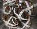 【活蟹】阳澄联合大闸蟹 鲜活六月黄2.8-3.1两 8只螃蟹去绳足重海鲜礼盒装源头直发 实拍图