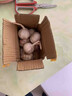 紫皮大蒜2025新干大蒜头年当季整箱新鲜蔬菜头批发红皮 净重1.5斤(果径3.5cm+) 实拍图