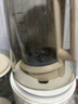 蓝宝（BLAUPUNKT）破壁机家用豆浆机全自动免煮2025新款静低音破壁机小型榨汁机婴儿米糊机磨粉机智频变速 国家补贴 实拍图