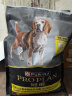 冠能狗粮成犬7岁以上老年犬狗粮2.5kg  全价狗粮 改善认知障碍 实拍图