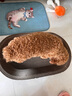 【京东物流】猫抓板磨爪猫窝一体耐磨不掉屑超大号猫玩具猫咪用品 椭圆大号+猫薄荷 实拍图