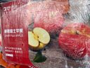 京鲜生 山东栖霞红富士苹果精品12粒 单果190g-240g  生鲜水果 礼盒 实拍图