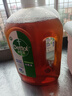 滴露（Dettol）消毒液灭活流感冠状病毒消毒水除菌1.8L*2洗衣家居宠物除螨杀菌 实拍图
