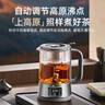 小熊（Bear）养生壶 1.2L大容量煮茶器煮茶壶 316L不锈钢喷淋蒸茶壶泡茶壶 煮茶烧水一体 ZCQ-D12L6 实拍图