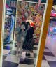 COSMICKISS双肩包女士复古英伦学院风包包简约文艺百搭轻便小背包通勤单肩包 咖色 实拍图