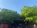 膳魔师（THERMOS）钛杯纯钛保温杯办公户外露营茶杯定制团购水杯生日礼物咖啡杯TCTC 太空灰【带茶隔】 550ml 实拍图