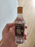 高洲【品牌试饮】高洲特曲100ml品鉴小酒浓香型52度 52度 100mL 1瓶 实拍图