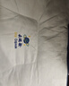 南极人（home）乳胶枕头枕芯睡眠深度颈椎枕护颈枕睡觉专用天然橡胶成人整头抗菌 云端乳胶护颈枕圆点蓝【低中枕】 【48x74cm一只装】【超柔面料】 实拍图