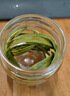 神农金康肾精草100g 嗷嗷叫黄金草 野生长白山肾精茶化石草东北男士养生茶 实拍图