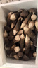 京鲜生&云芳斋 云南黑皮鸡枞菌1斤 新鲜鸡枞菌火锅煲汤食材 源头直发 实拍图