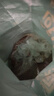 疯狂小狗狗粮金毛拉布拉多萨摩耶边牧 宠物幼犬成犬20kg犬粮 40斤牛肉味 实拍图
