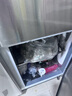 雪花四门冰箱商用六门立式不锈钢冰柜厨房大容量四开门双温冷藏冷冻直冷风冷冰箱冷柜保鲜柜 豪华款-18℃六门【全冷冻】一级节能 实拍图
