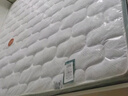 全友家居椰棕护脊床垫家用棕床垫1.5米X2米薄款单人榻榻米床垫子家具 护脊小白pro|1.5*2.0米|厚12cm 护脊椰丝绵+蚕蛹蛋白针织面料 实拍图