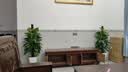 花财主天堂鸟盆栽办公室大型绿植客厅鸭脚木植物家用吸甲醛净化空气好养 绿萝柱1.4-1.5米【圆柱盆】 实拍图
