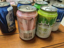 花园新疆奶啤天润西域春花园佳丽瑞缘疆鲜生组合装箱乳酸菌牛奶饮料品 【10种都有】至尊组合12罐 实拍图