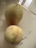 阳山水蜜桃 正宗无锡阳山水蜜桃 应季时令新鲜水果生鲜桃子礼盒 一级果4-5两12个礼盒装净重5斤多 实拍图