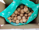 楼兰蜜语【京觅专供】新疆新二薄皮核桃2500g原味核桃纸皮送礼盒坚果零食 实拍图
