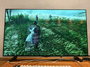 LG电视机C5系列 42英寸OLED42C5XCA 4K超高清全面屏专业旗舰电竞游戏 120Hz高刷 适配PS5 42英寸 C5X【行业爆款电竞显示】 实拍图