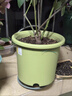 爱丽思花盆塑料圆形树脂多肉花盆种花种菜盆绿萝爱丽丝 浅绿口径30.1cm 实拍图