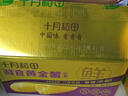 十月稻田 鲜食黄金薯 3斤 玛莎莉红薯 番薯 地瓜 板栗红薯 熟制即食 早餐 实拍图