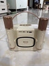 索爱（soaiy）GC520Pro 悬浮歌词蓝牙K歌音箱无线话筒麦克风一体式儿童户外家庭用ktv男女唱歌生日礼物 白 实拍图