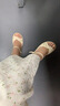 达芙妮官方凉鞋女平底百搭鞋子女2025新款夏季软底舒适一字带凉鞋女 米白色【软底舒适3.5CM】 38 实拍图